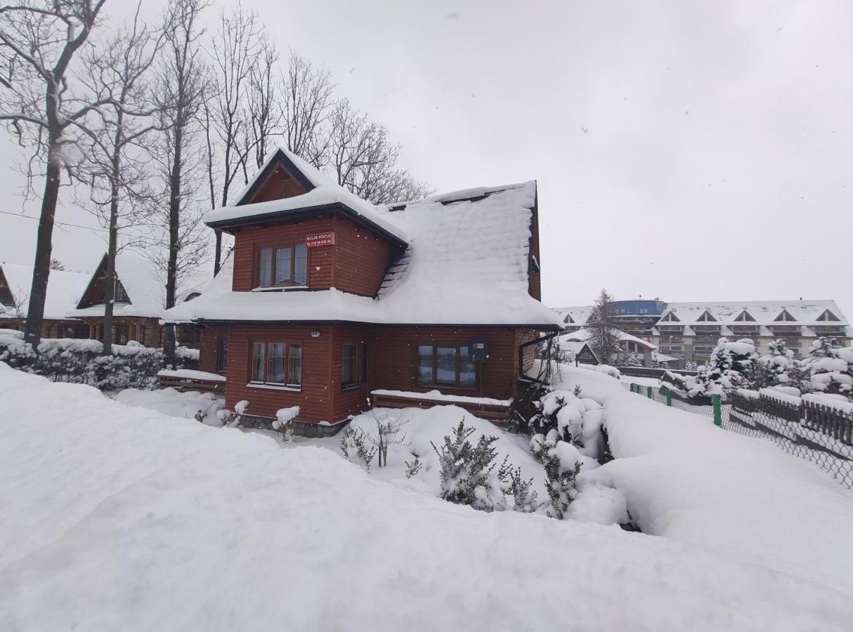 Willa Pod Jesionami Zakopane Exterior foto